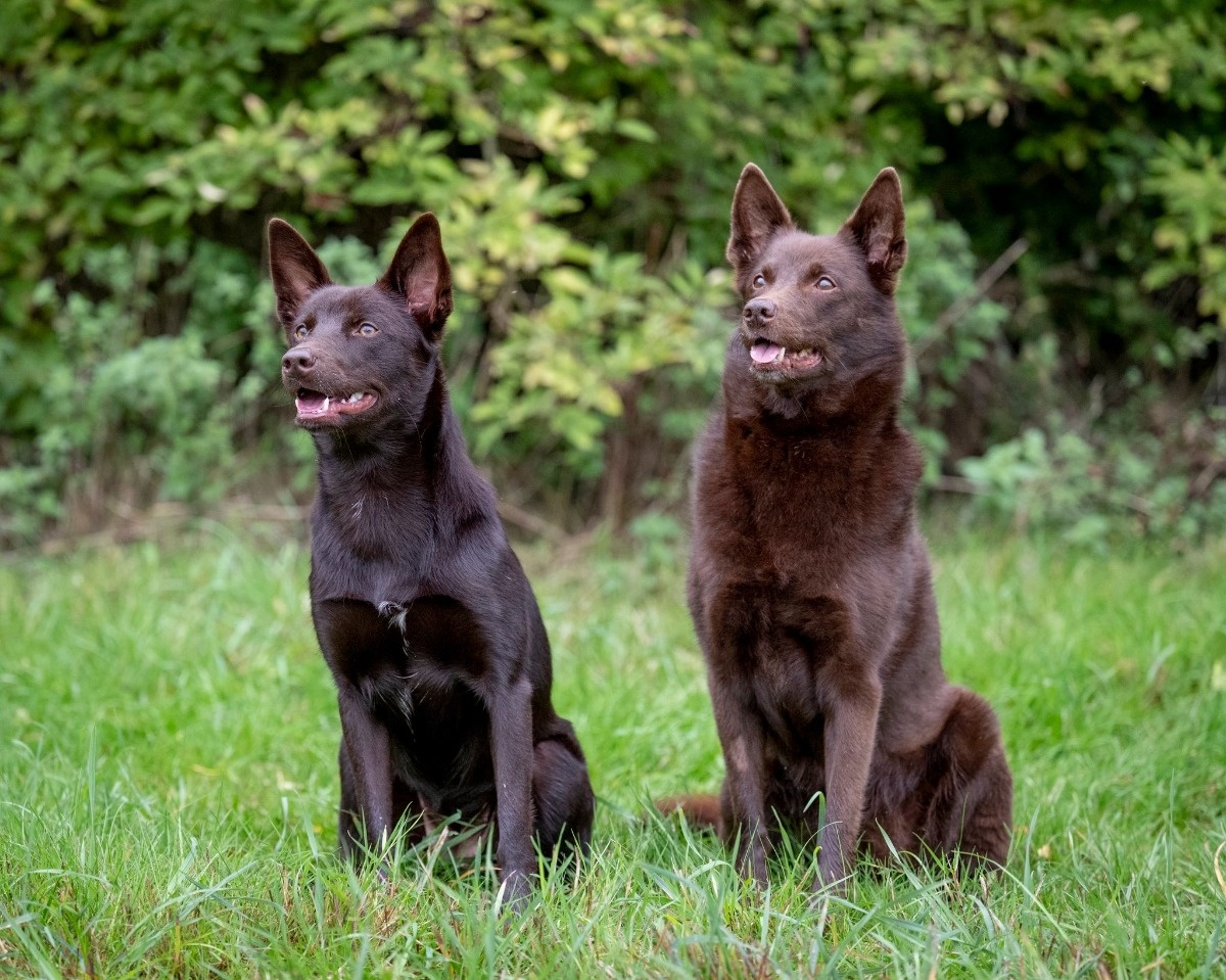 cd34b541-c680-491a-a071-499f08781486