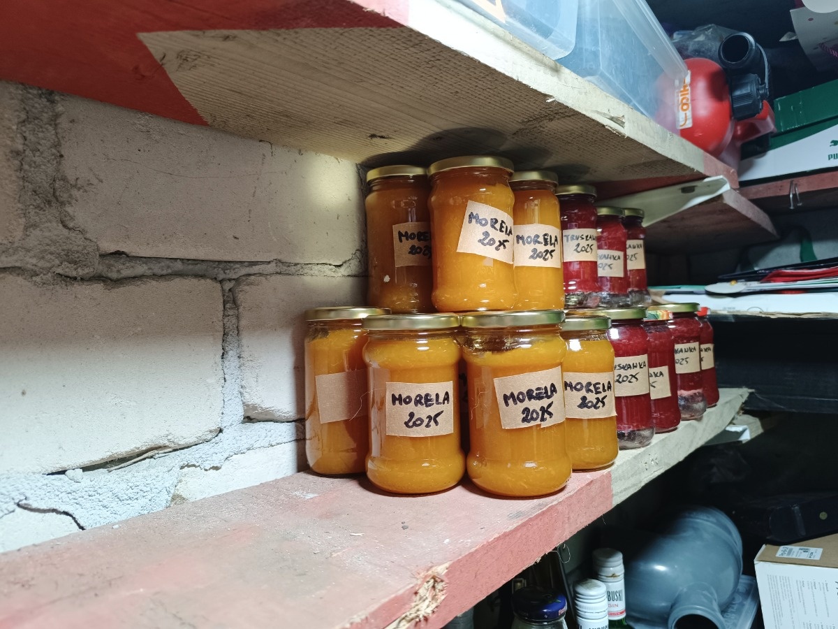 c59975bd-9d4a-474a-8602-db2a0be6bacf