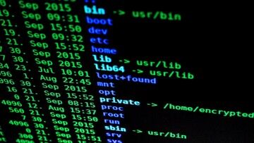 Holandia. Hakerzy zaatakowali system informatyczny. Opóźnienia w wynikach testów na COVID-19