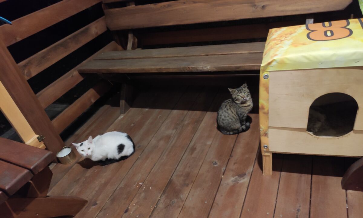 bb030787-29cd-4e97-a8ab-3b1e2d7d7807