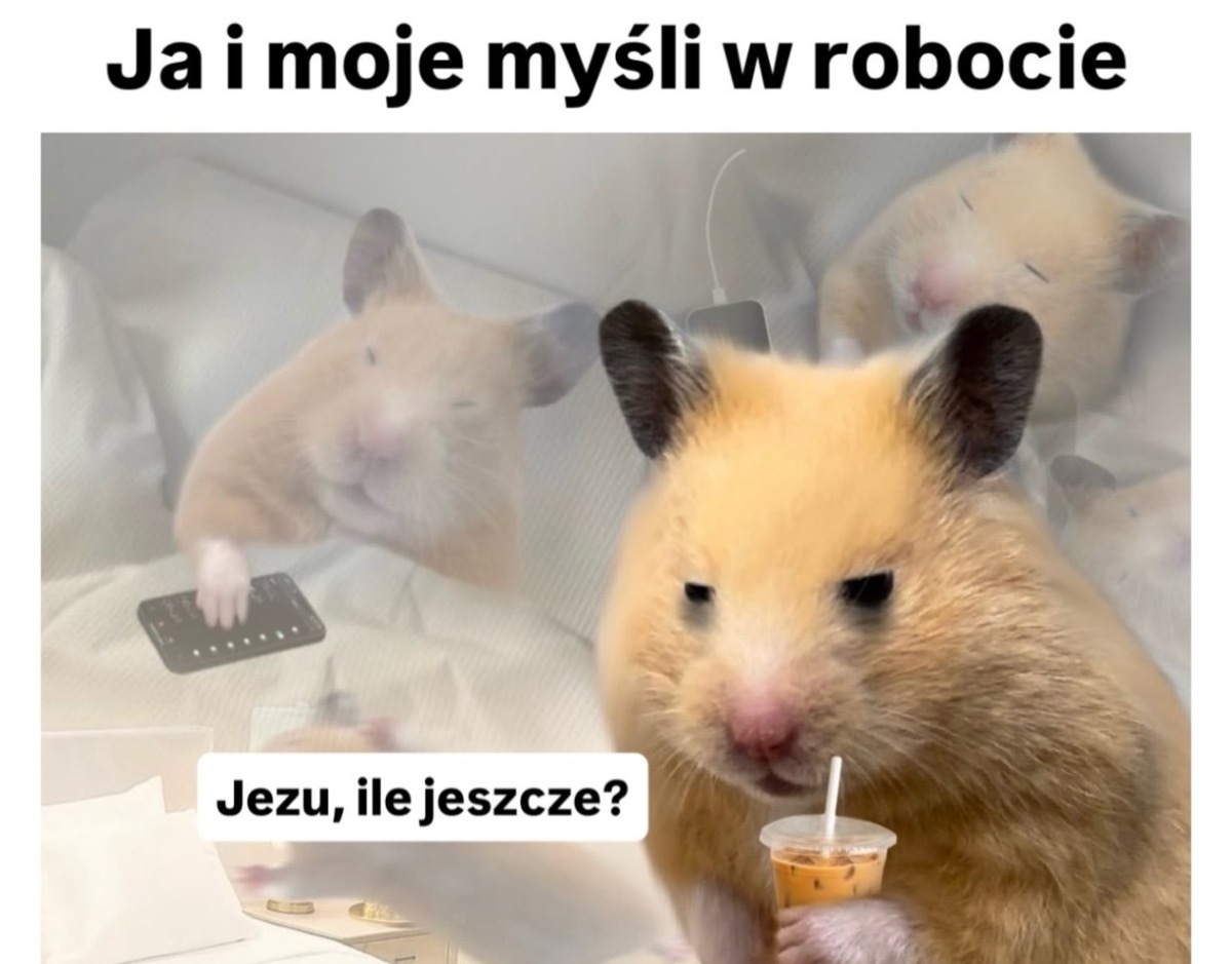 26950ebf-649e-4e0f-8f00-abcd23654ec4