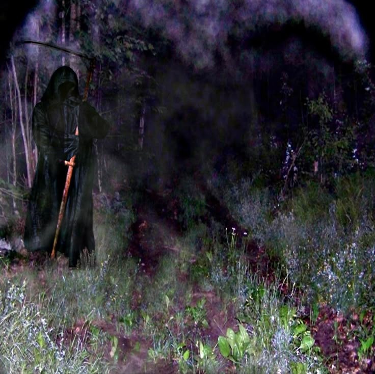 a8e8f9e8-7bc0-4e7f-9a83-e426e95aa29f