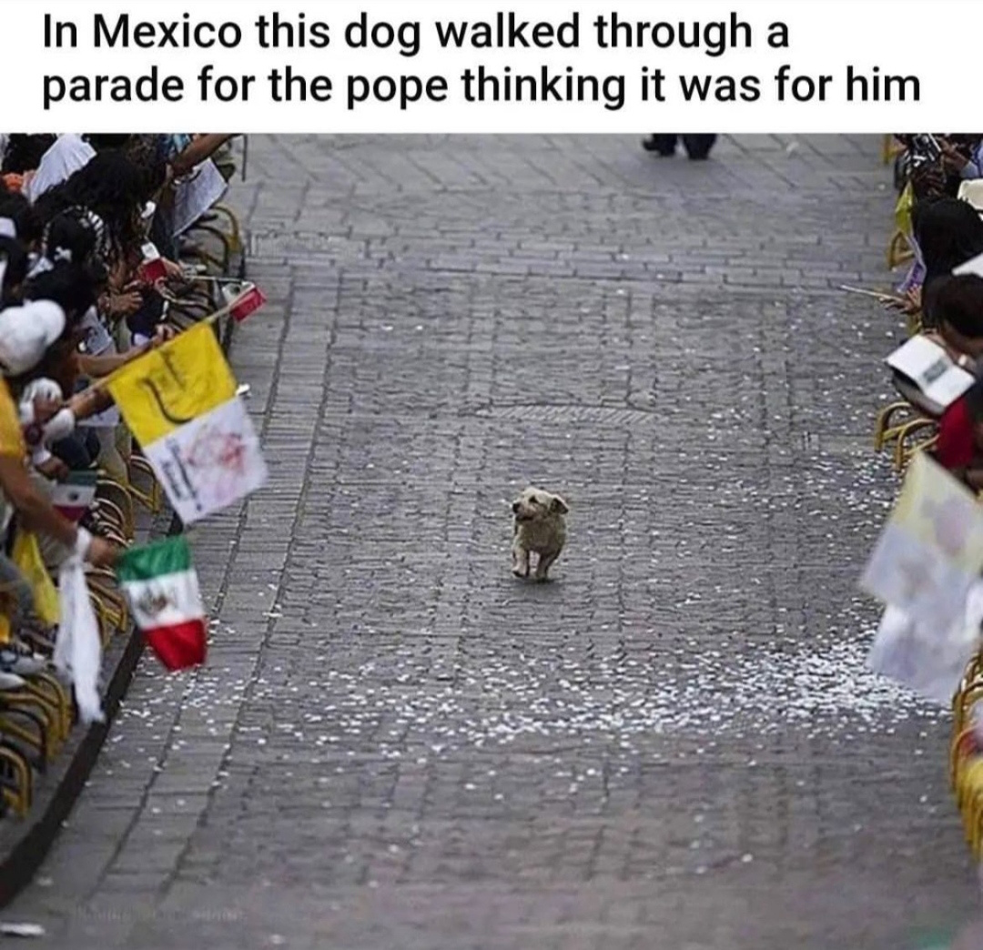 efae0714-005b-404f-bae9-9a6d3406428b