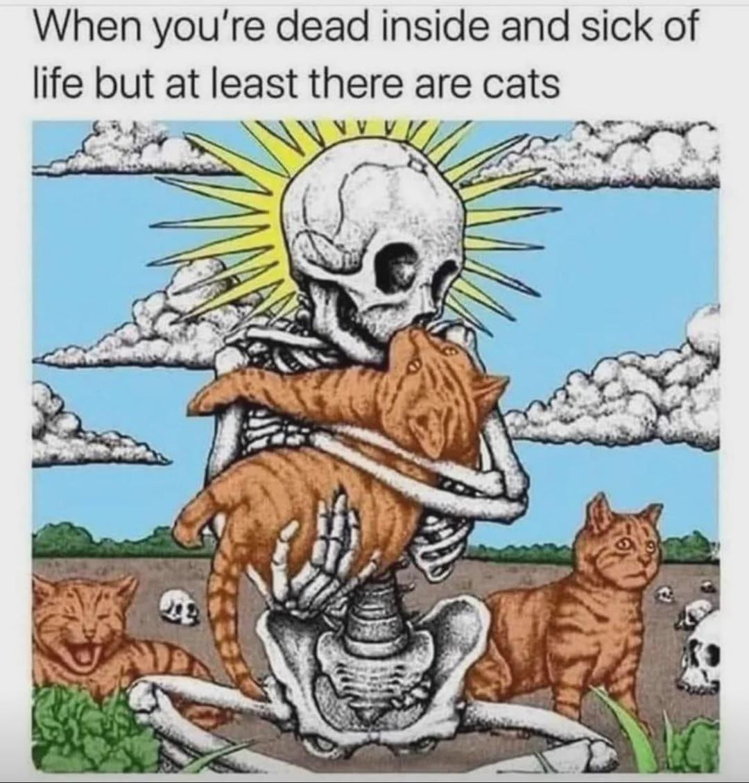 e6ecbae0-0486-4930-a075-cb1d6ea69aeb