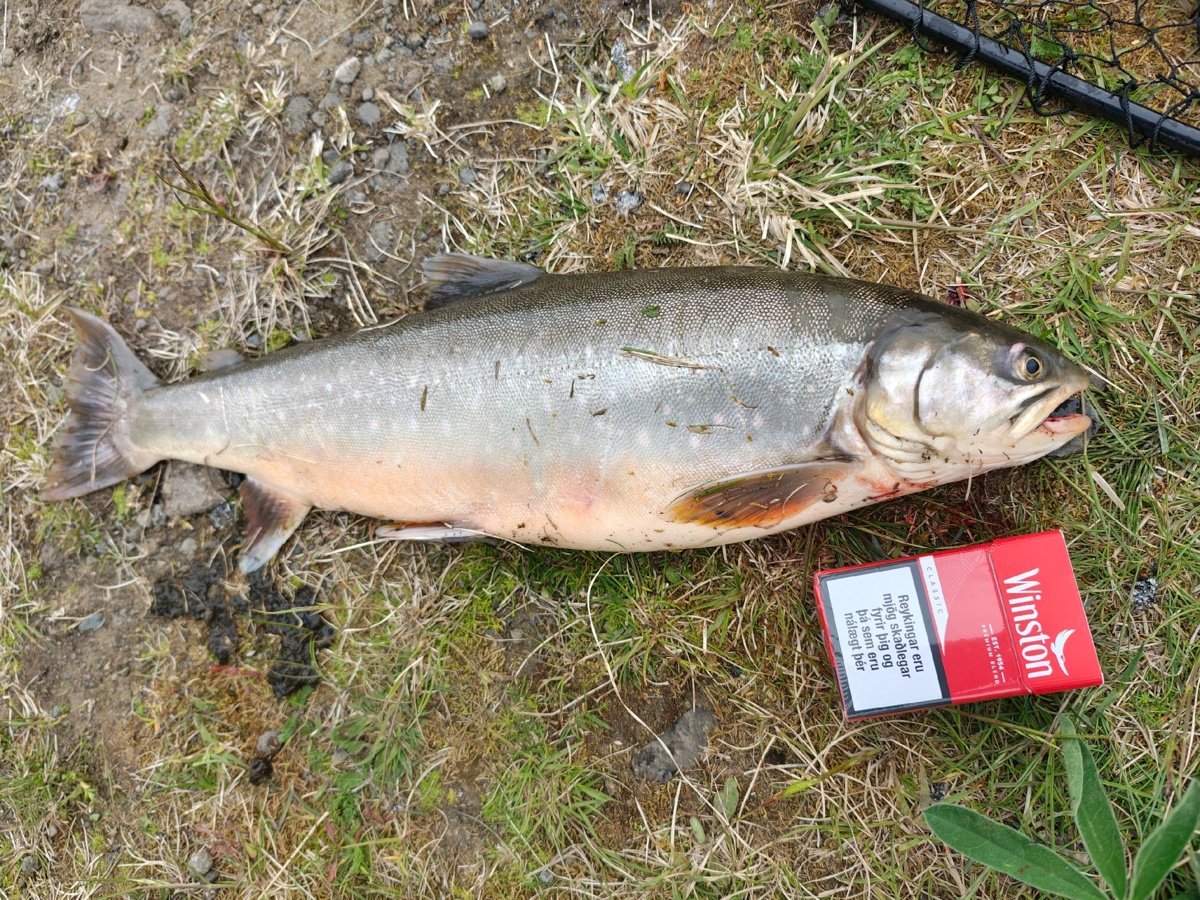 9a41b176-7b2b-4cbe-9727-0858255c3ab6