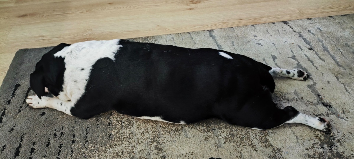 7dfd8d37-9ad3-4eb4-b3d3-f78331fe5088