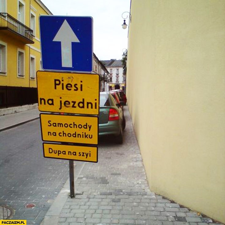 6f5a7885-022a-48f5-ab5f-d9e9a55e85f1