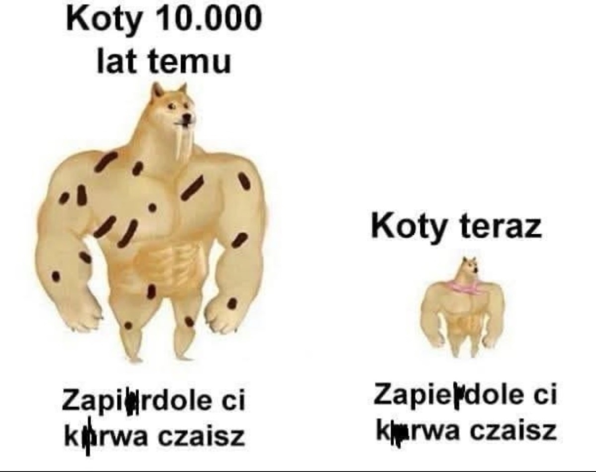 54a6f87b-ef93-462a-8eda-d550a32f24df