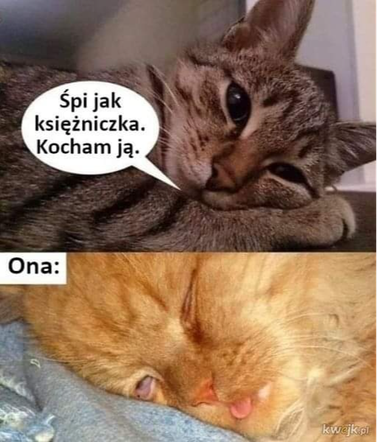 0db9973e-5c39-44f4-9b3d-2195e4a867a0