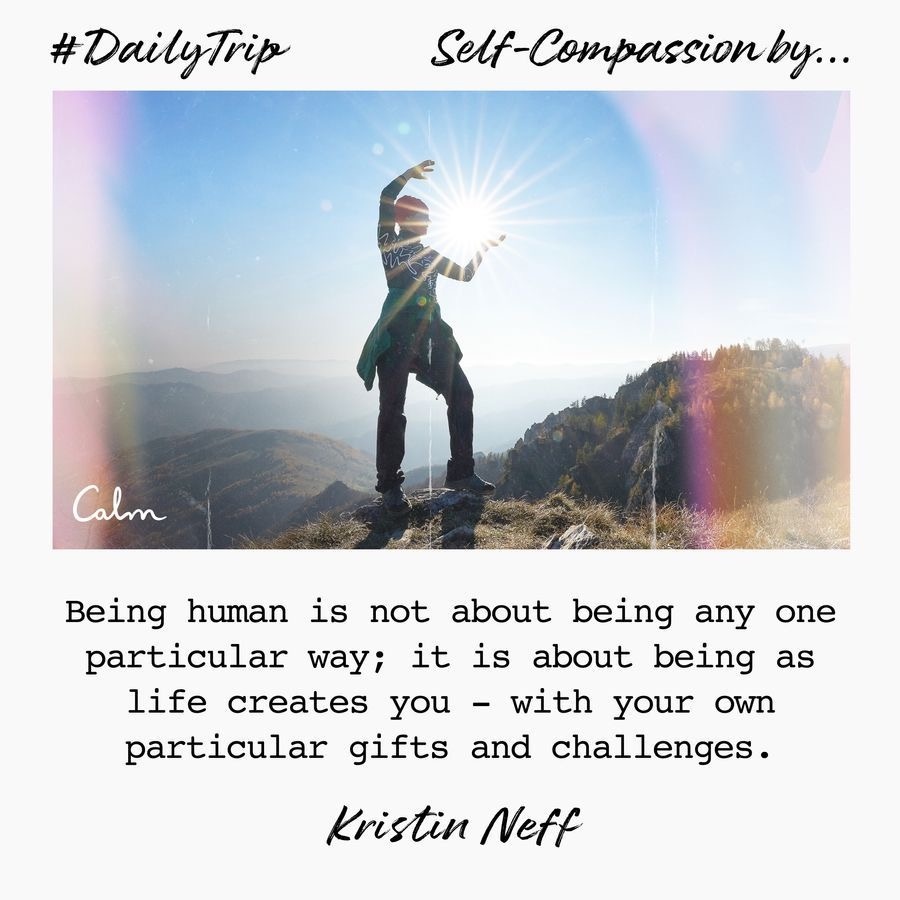 109c97a5-ab16-481f-927e-9294fea3ada1