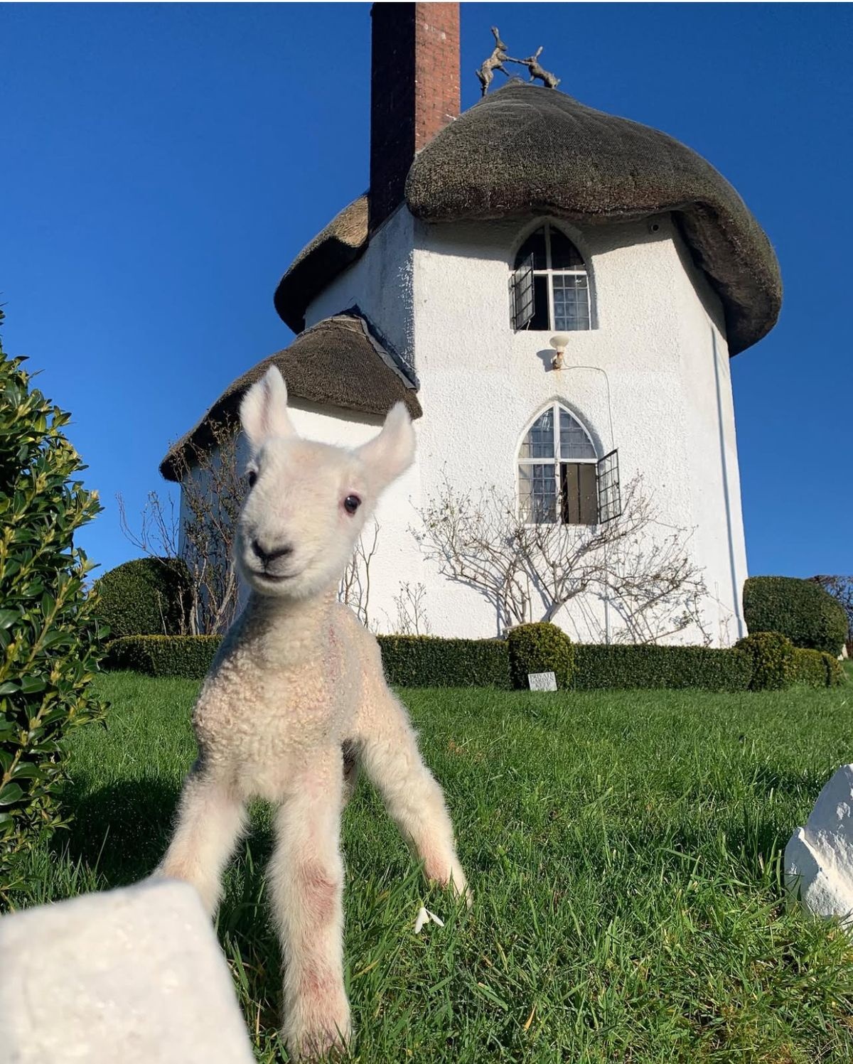 f2f6a33f-bcb7-400e-b4aa-ef7225564de2