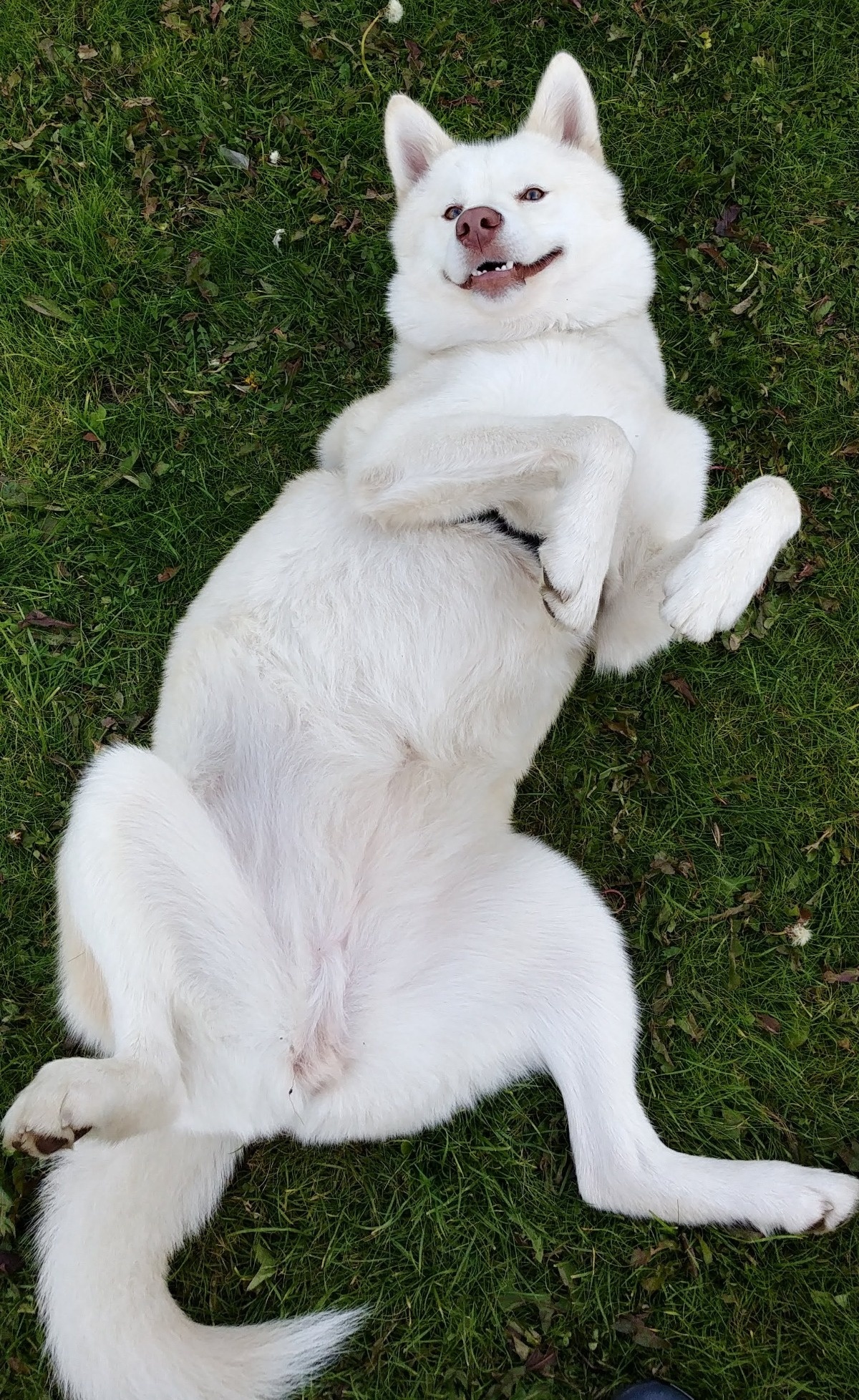 7c8fcd7f-3ba0-429e-8ceb-aaf1132bff19