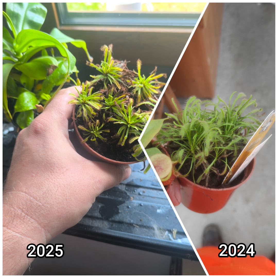 46f37b26-fadb-4758-89a6-87ac02966d0f