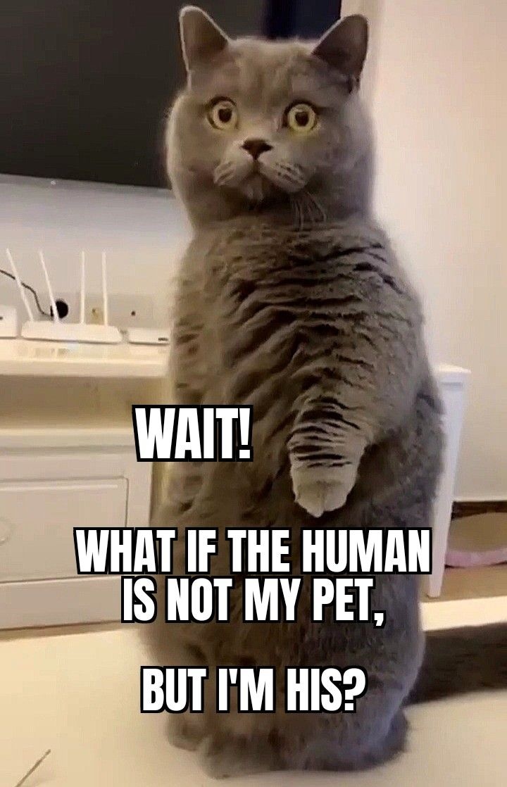 39e36a7d-8ad7-4d18-a5a9-5795ea6c1377