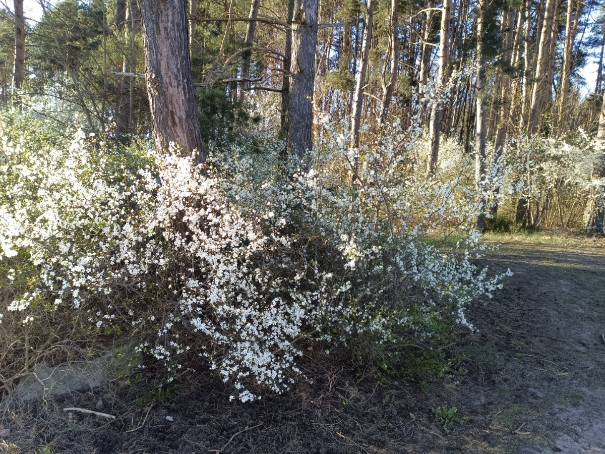 4d43aae6-63e8-4300-ad80-007441dc8c14