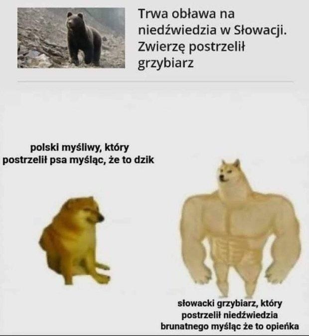 8ac0535a-9f49-42eb-ae2a-2ecd3dc51dc9