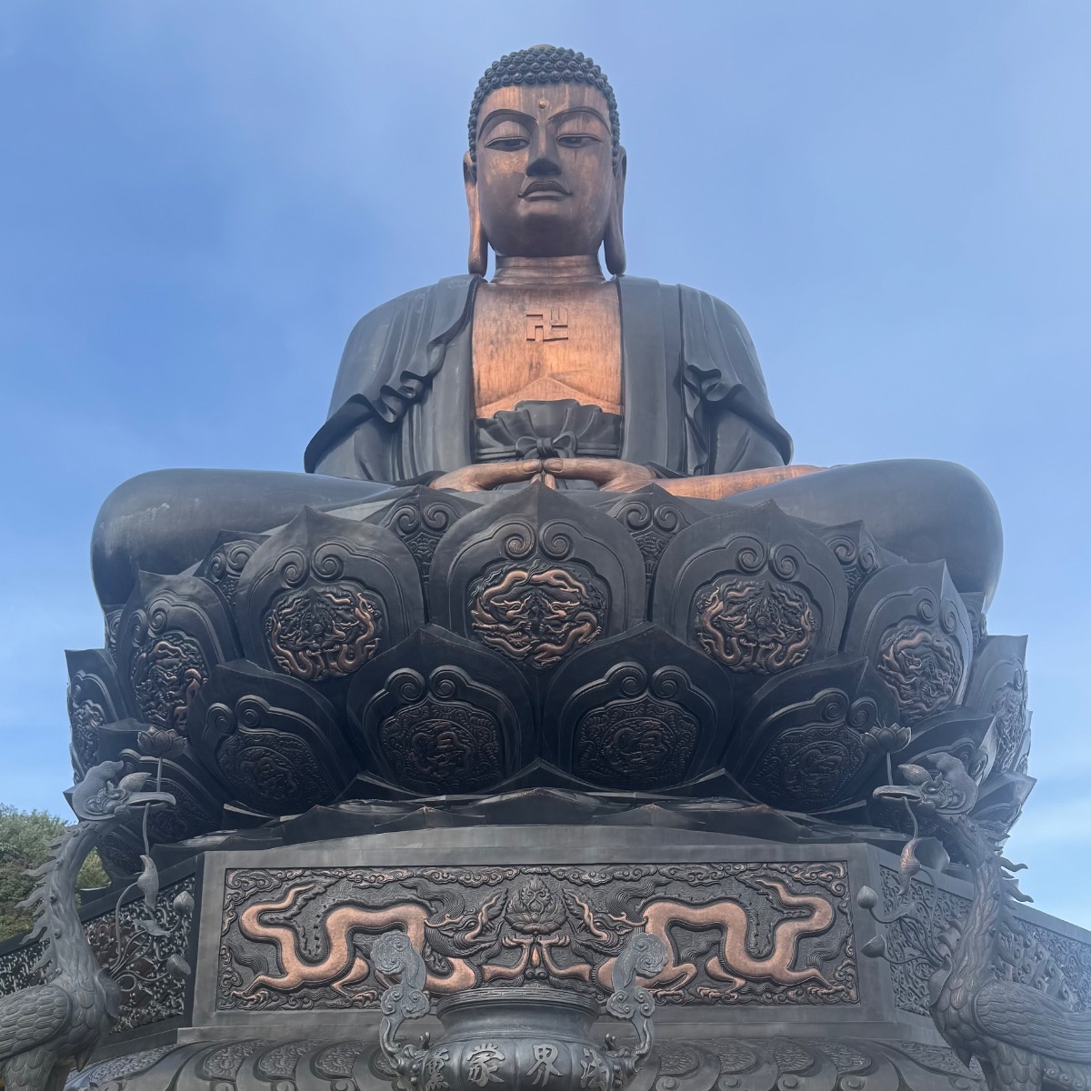 24600a69-c606-4b7a-8d6b-1ec2e309737c