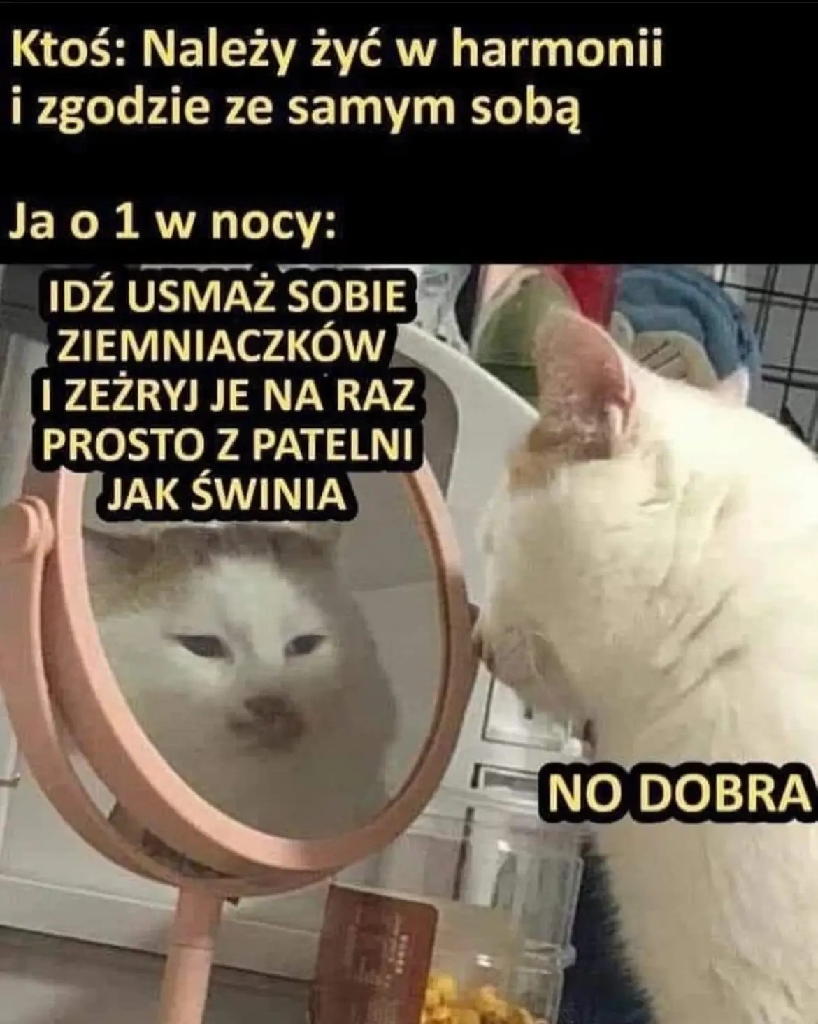 5345220b-83aa-4b3b-93cd-57d1c1761fea