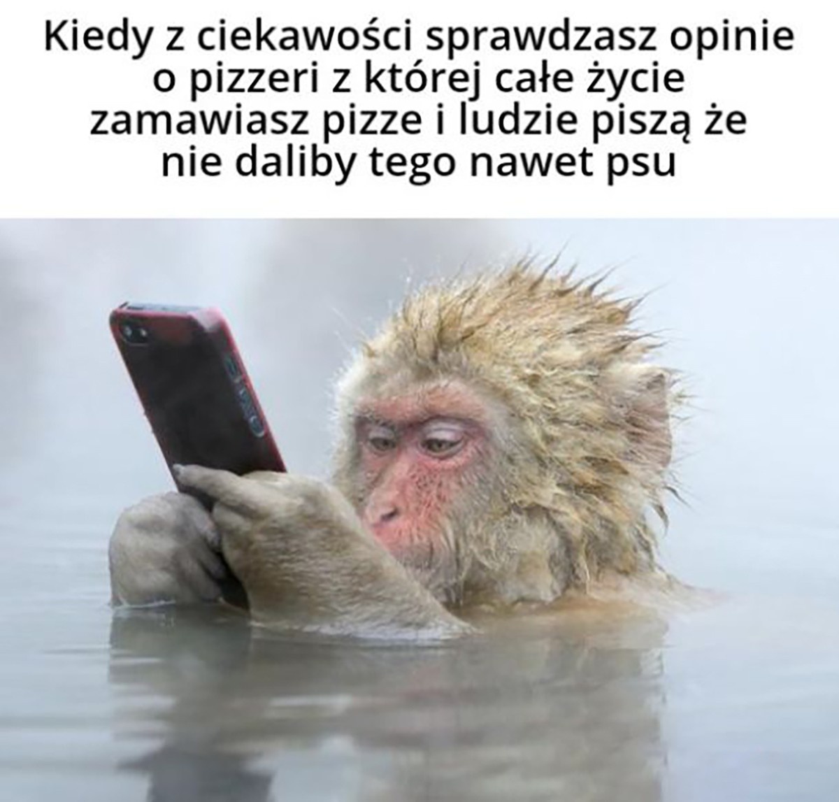 3f0b8634-a3cc-4403-9edb-a7f717ceb8ec