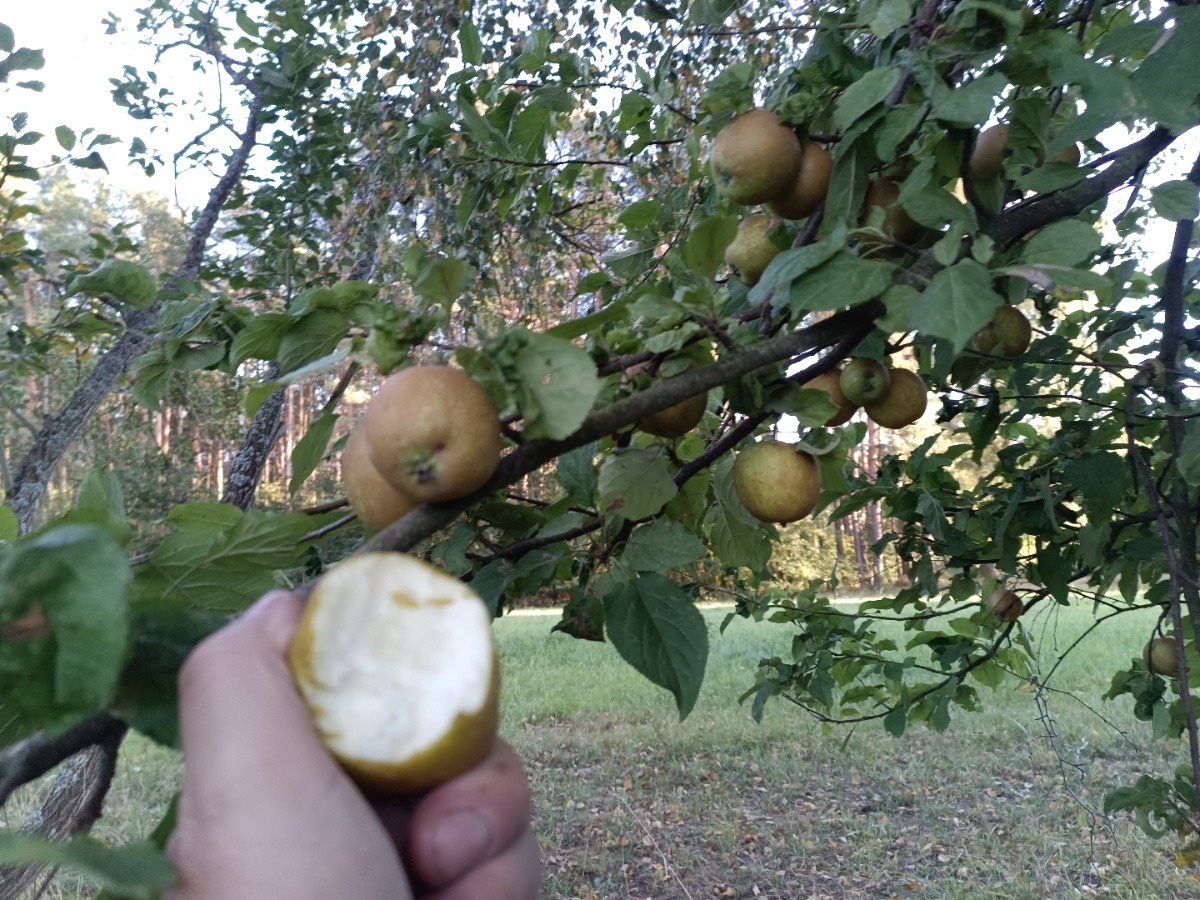 564bbcdd-3383-4868-bfb6-a5cefdaf1472