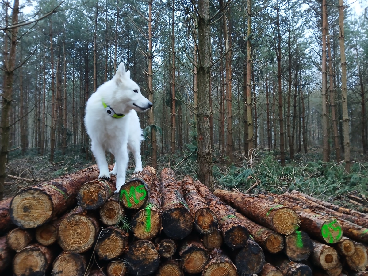 5de9b936-2f01-47d9-aaf3-b5c0f4a2e6bd