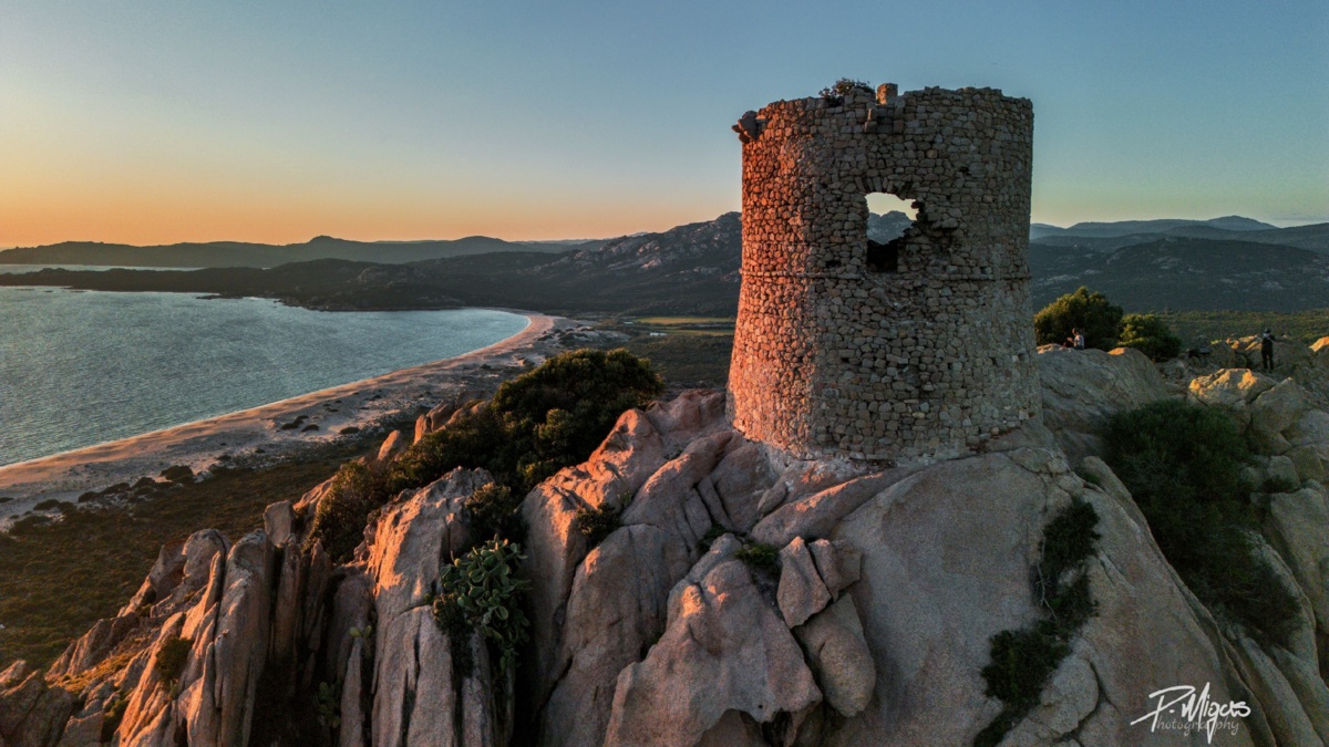 ce448a1f-c665-4ec7-8fe4-3ca03cd83f91