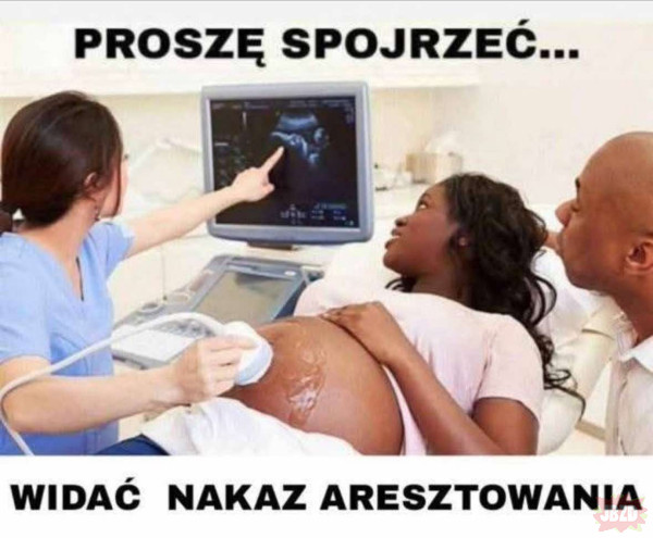 1505889d-b62d-46c1-a63f-1b365b83aa48