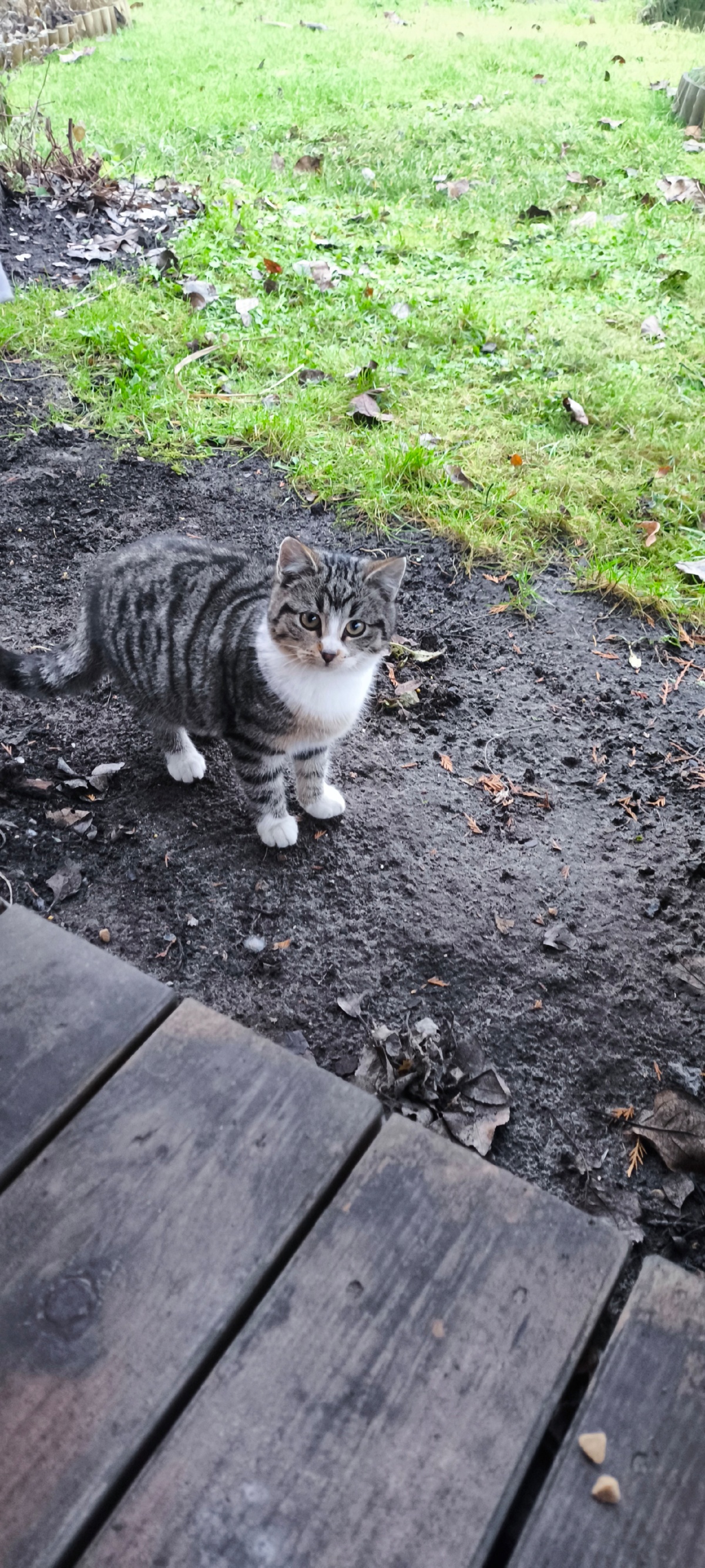 689f9a5d-3e6d-426d-a3b2-7dd57346cecb