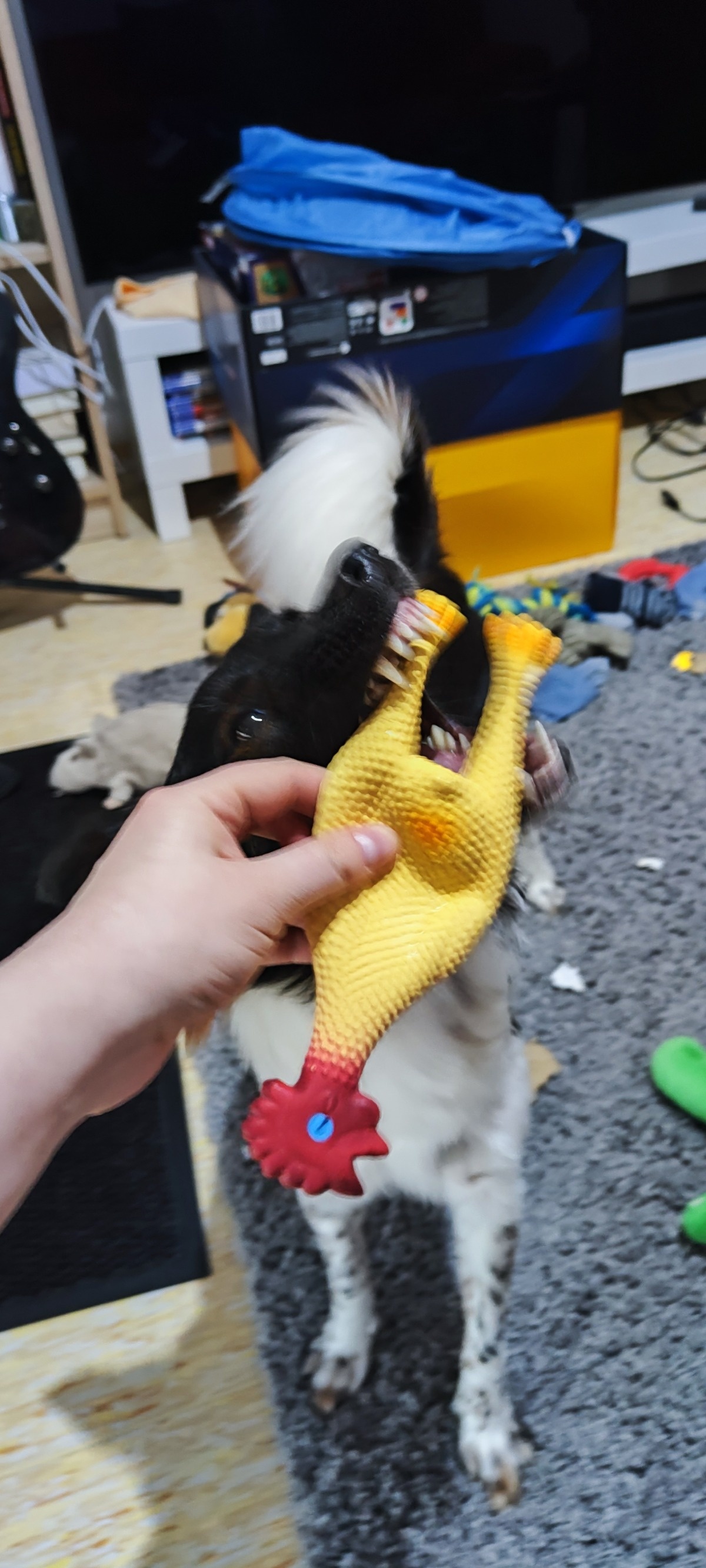 42045039-b092-49c9-a6b0-5bd22c856d50