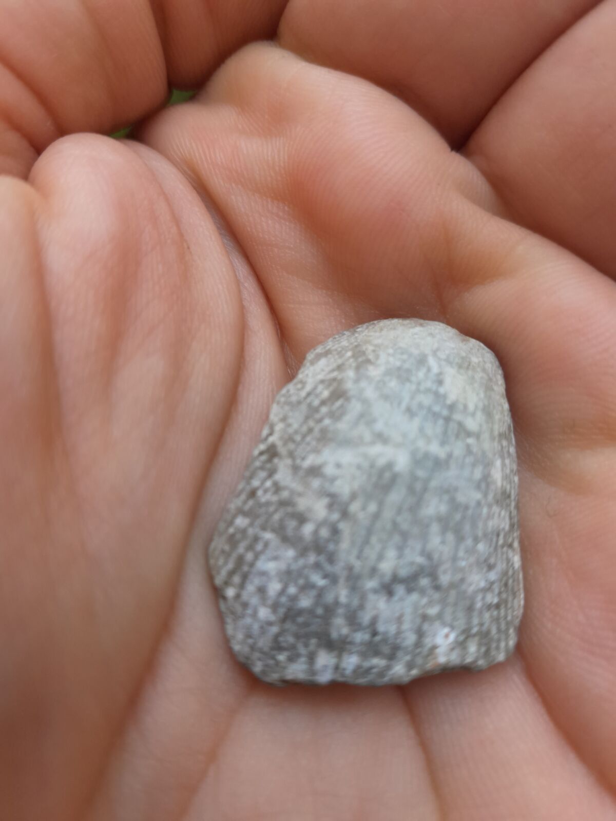 7e5f376b-3af8-4dad-a493-7170678b64b5