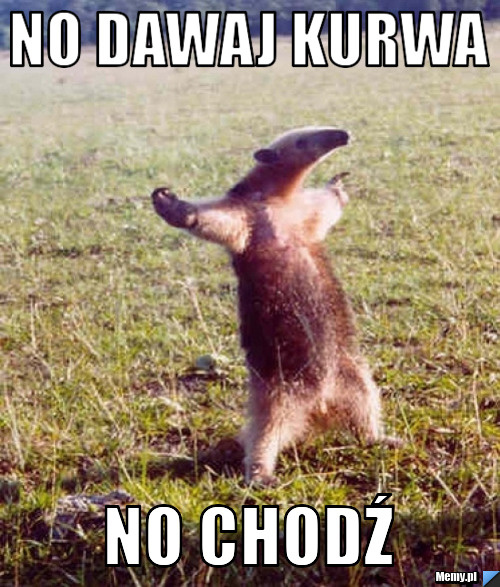 03390504-afb2-4513-99b5-2a9968db89b6