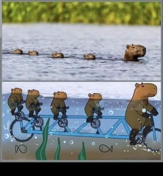 f0784051-2c90-4b0f-9181-326f182b9fc4