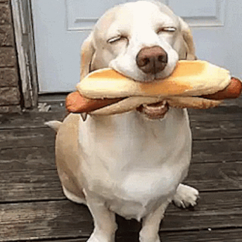 0e15dba3-fe84-4372-ad7e-947f55ab620f