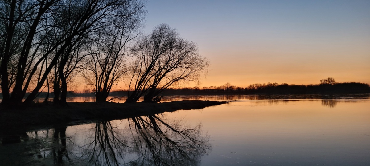 54c0572b-83c5-45bd-acc1-e25ed4c62ba9