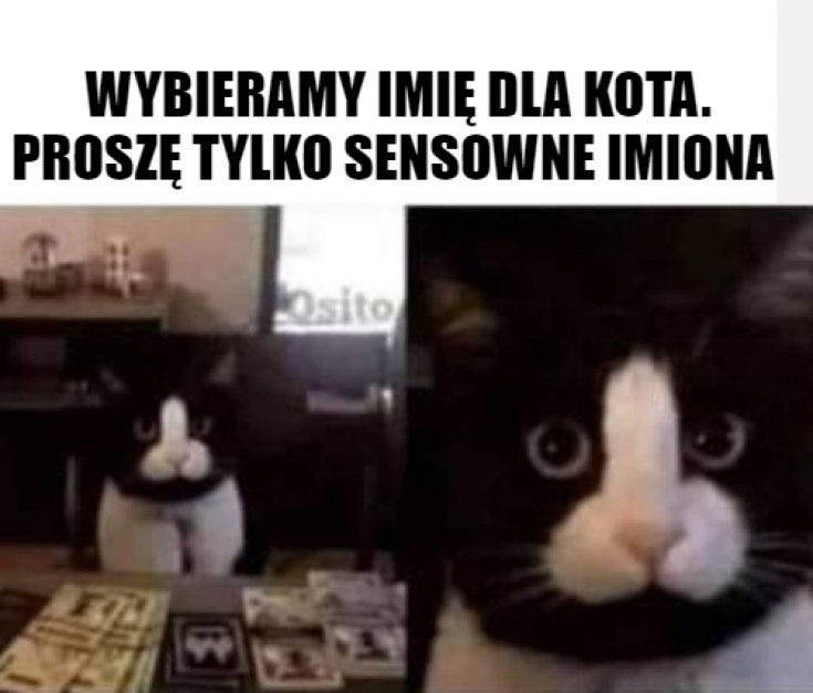 282edc2b-b620-457c-bc69-7f850a022976