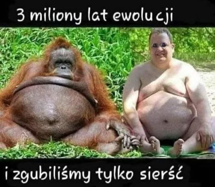 4d37bad3-61d3-4ef6-84e0-535e164d6a4b