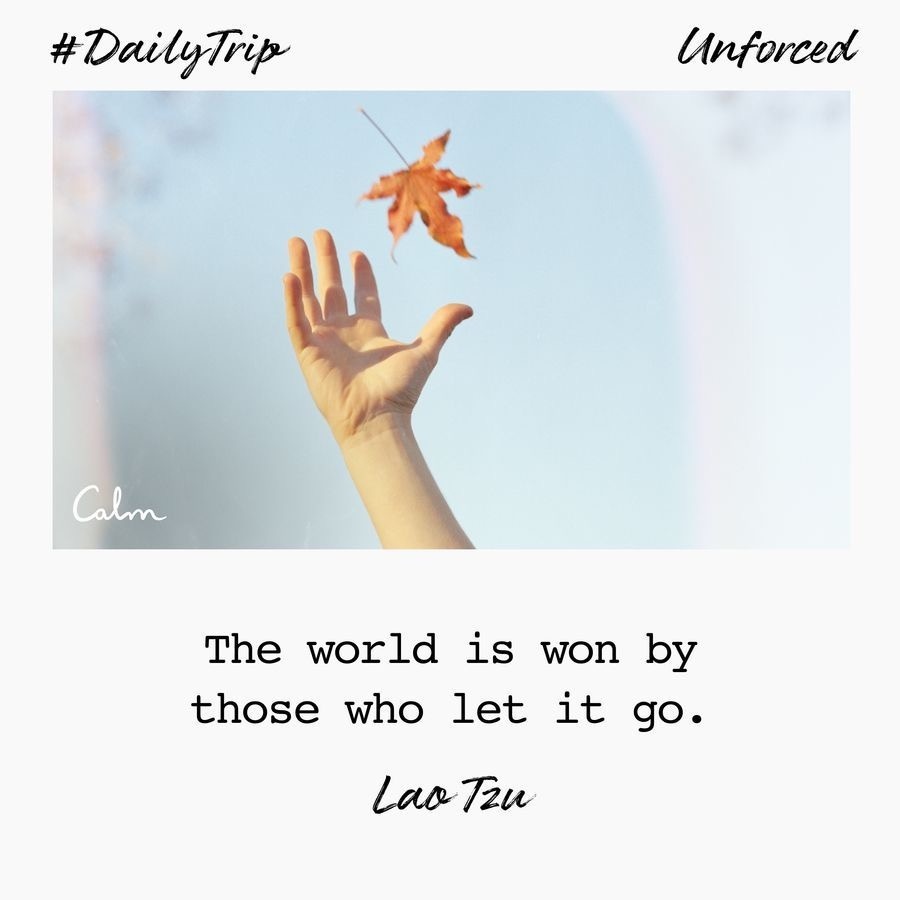 977ac99b-34f2-4008-9fe6-ec359a04deca