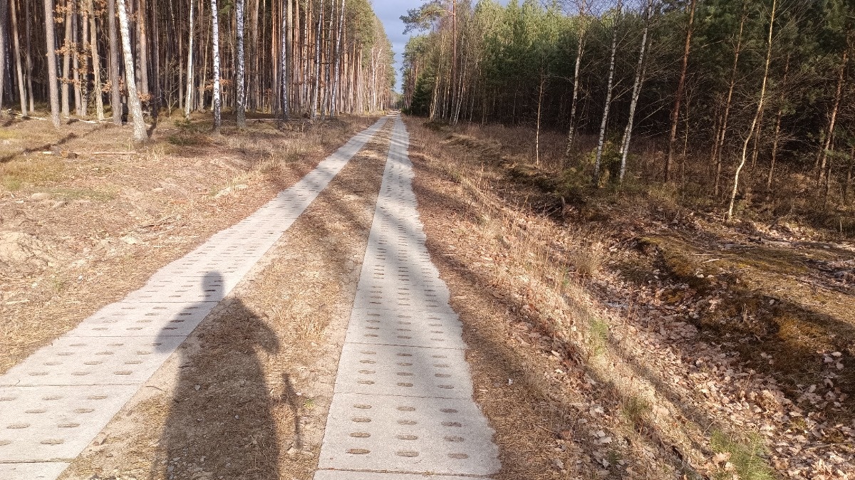 01cf77ce-c8b0-43b9-abd4-9c11caed0399