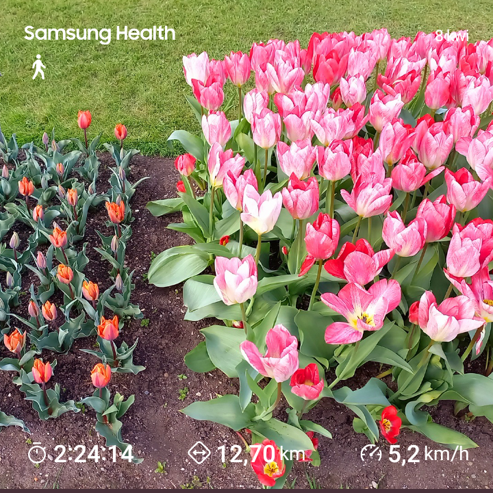 da151a88-0d46-479a-8745-1f6257f964fd