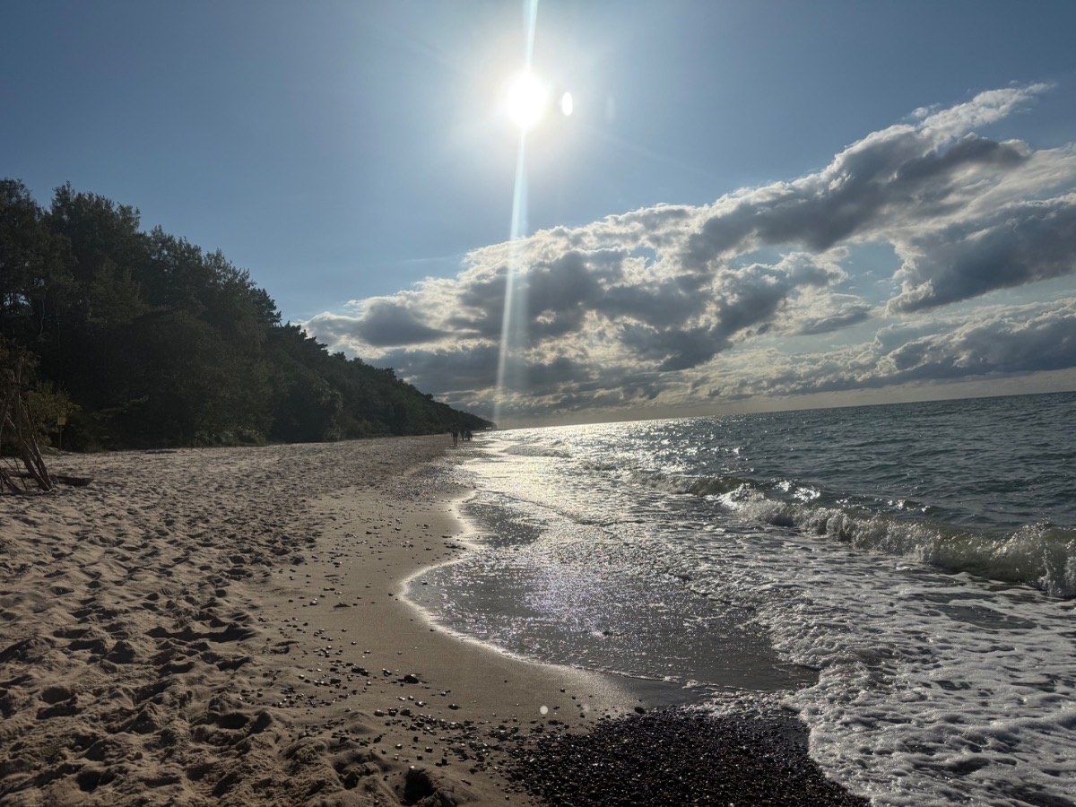 2149a5d8-6763-4a91-bab3-0c4206f54282