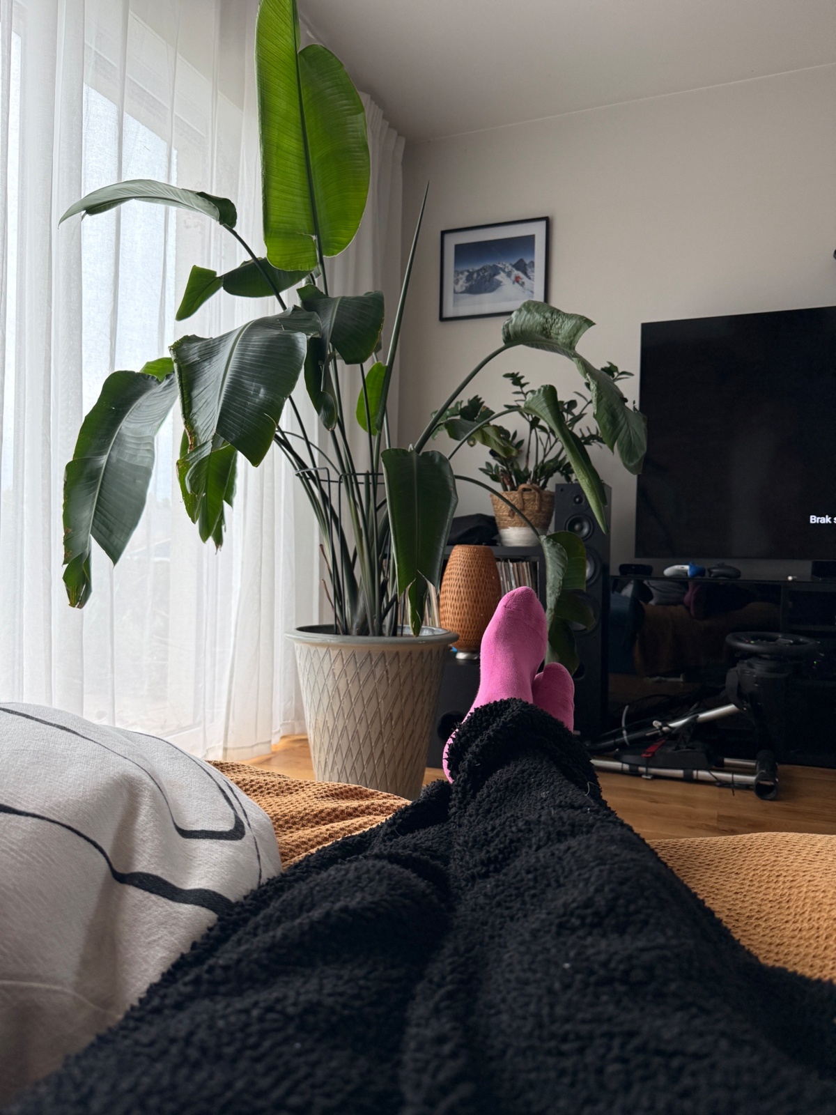 fd224fdd-b07e-4f87-9e76-39eb5a0c1e23