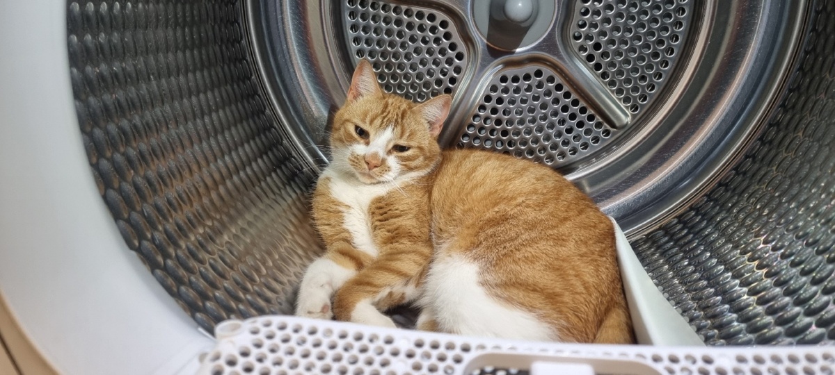 f61f4287-c54f-4c3f-8880-39bf1c5295ca