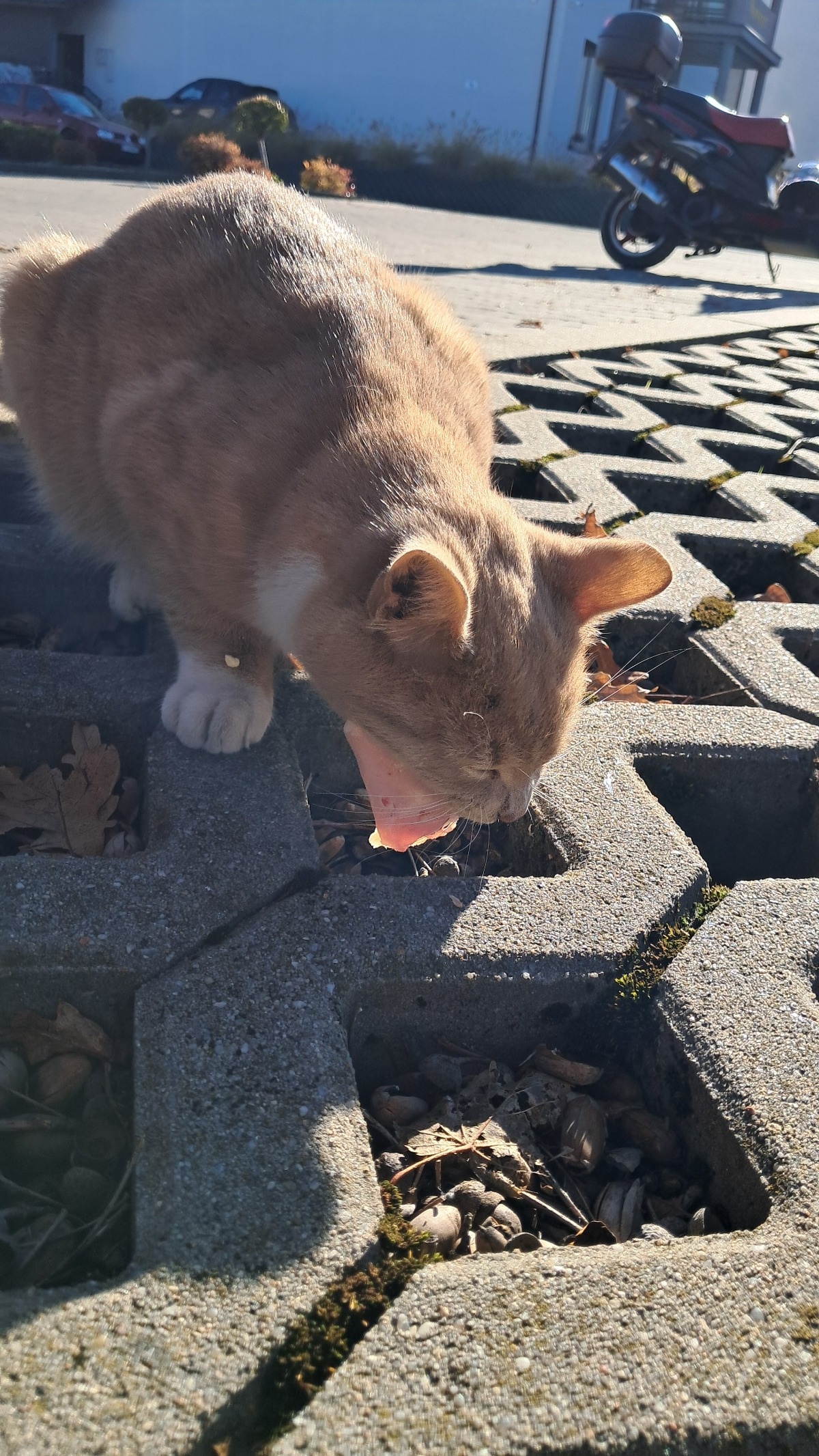 a0ad77df-ccf5-463d-82ce-88242cef6de2