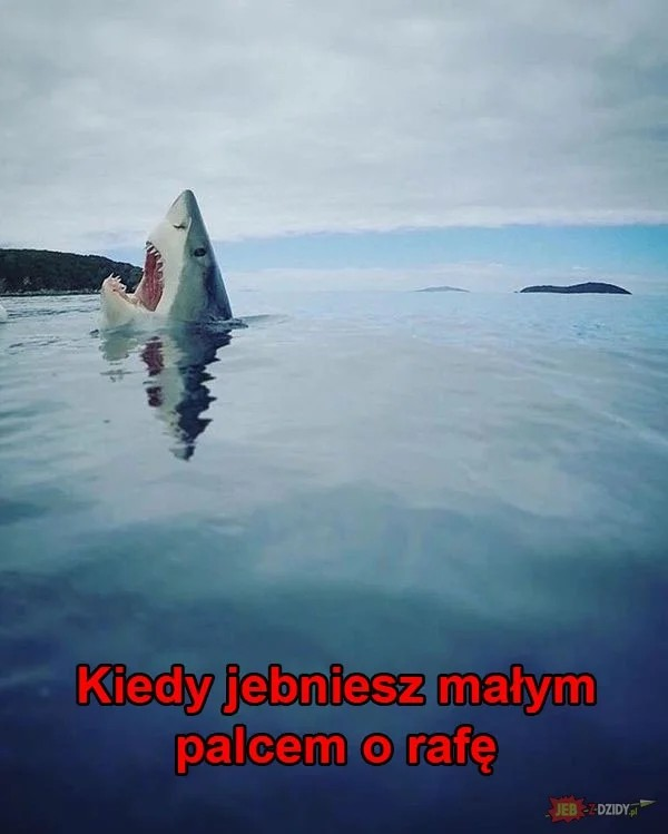 c102fab7-9d5c-4b51-9b2b-1318debfd59a