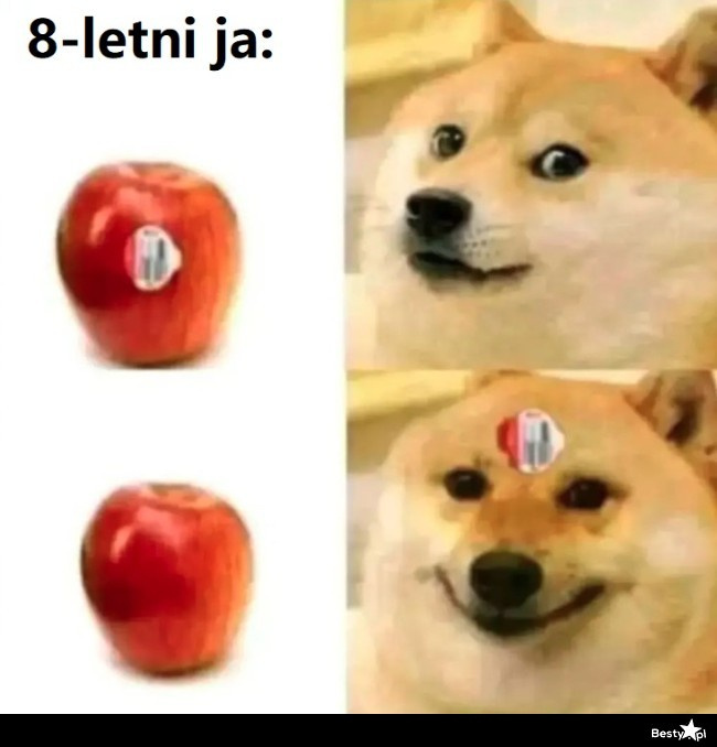 eca090e1-976a-470e-b2e4-58959e4ce9ed