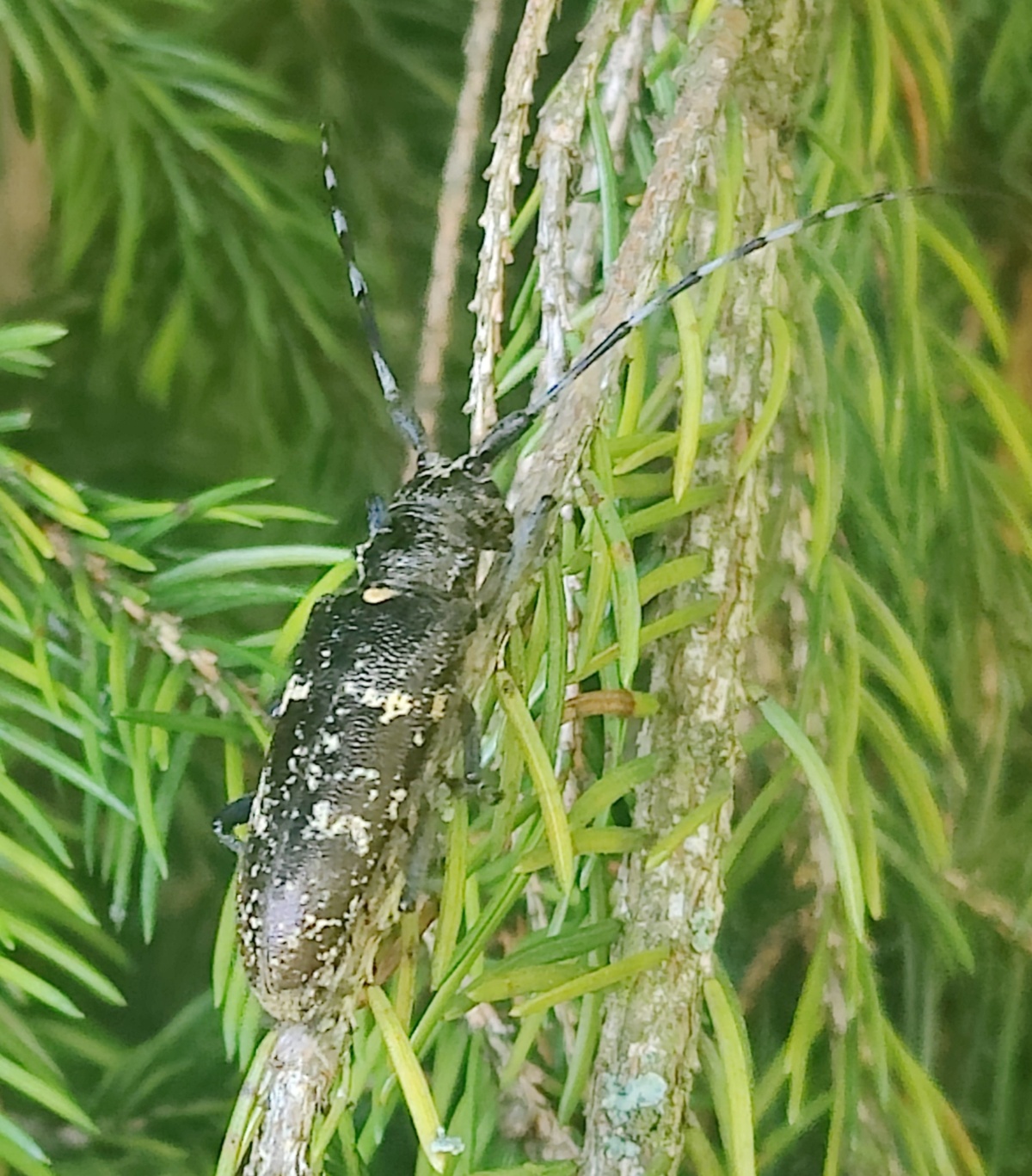 1e73300d-69d2-4ad5-9a04-6c3e7b502d2e