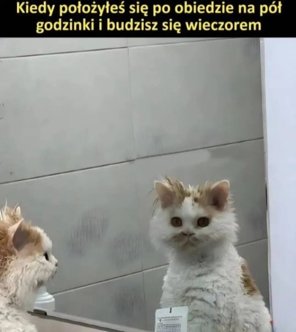 3d431f8c-8638-4256-b11c-5c04b3467ceb