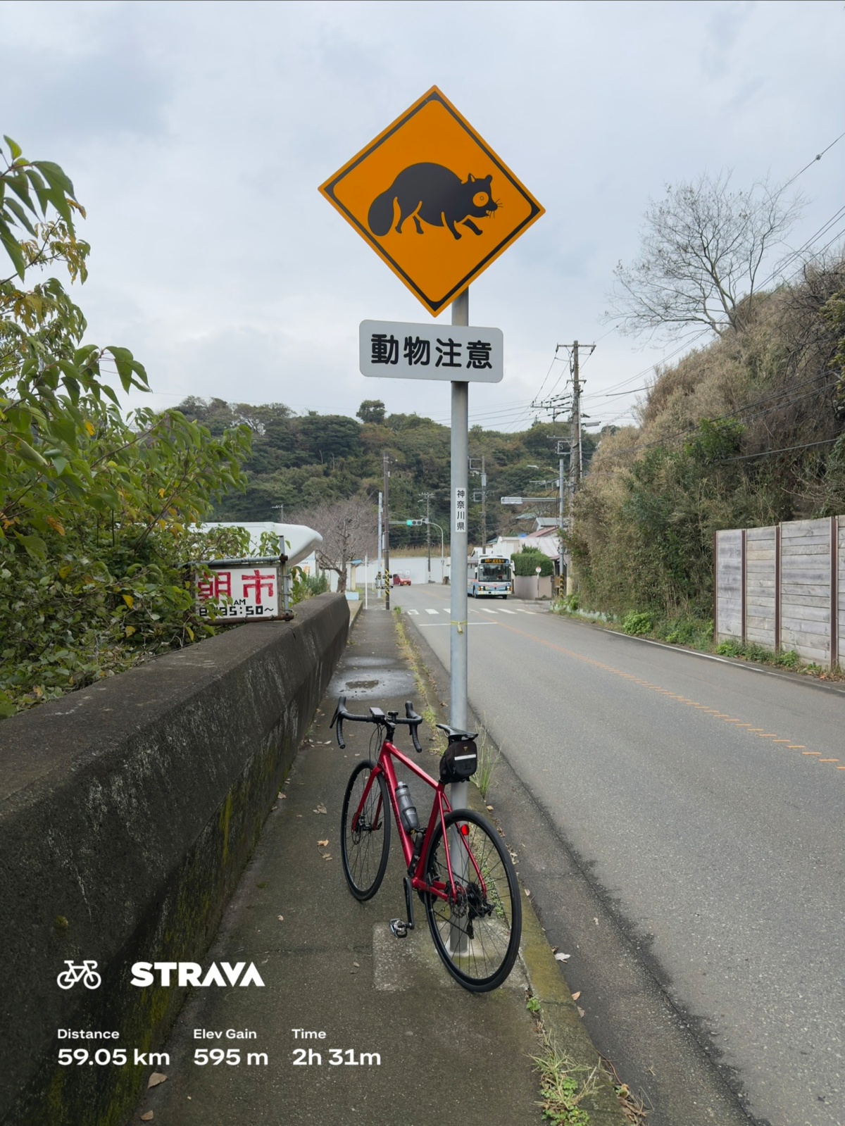 48ec2d19-b052-43eb-bf9d-7866d35a2437