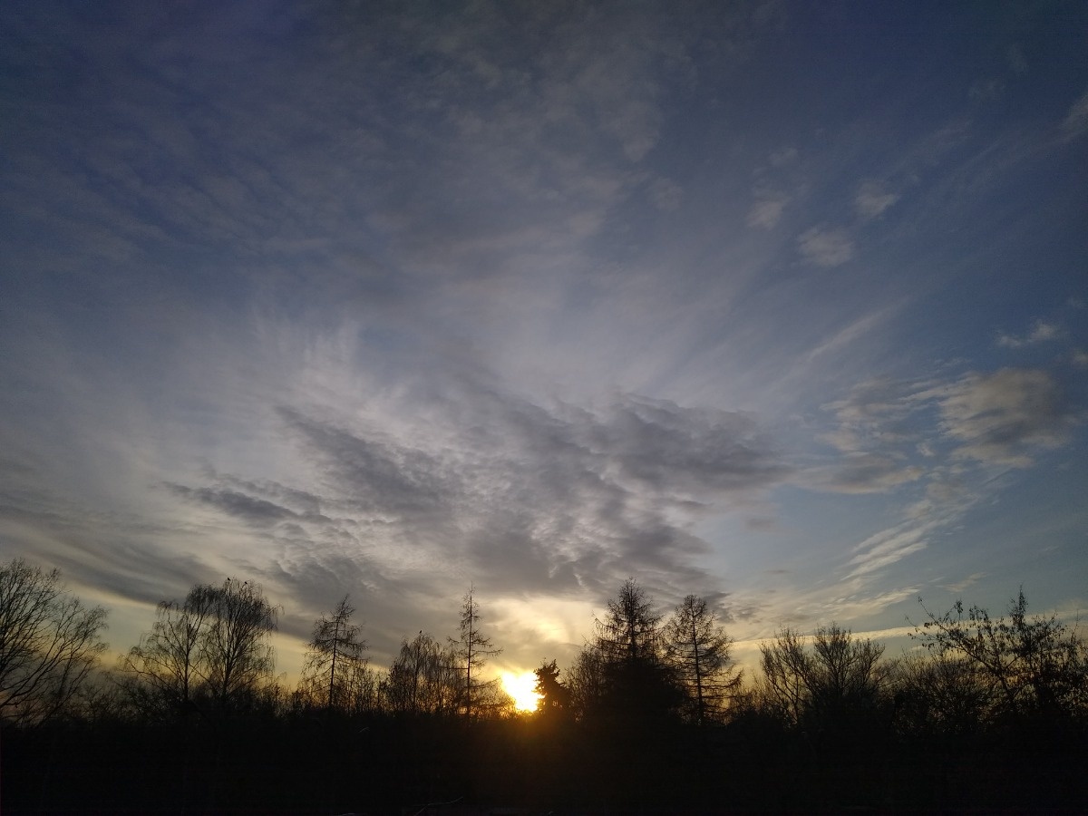 b5a10a16-2f3d-485b-ae03-a4e52bd2bd42