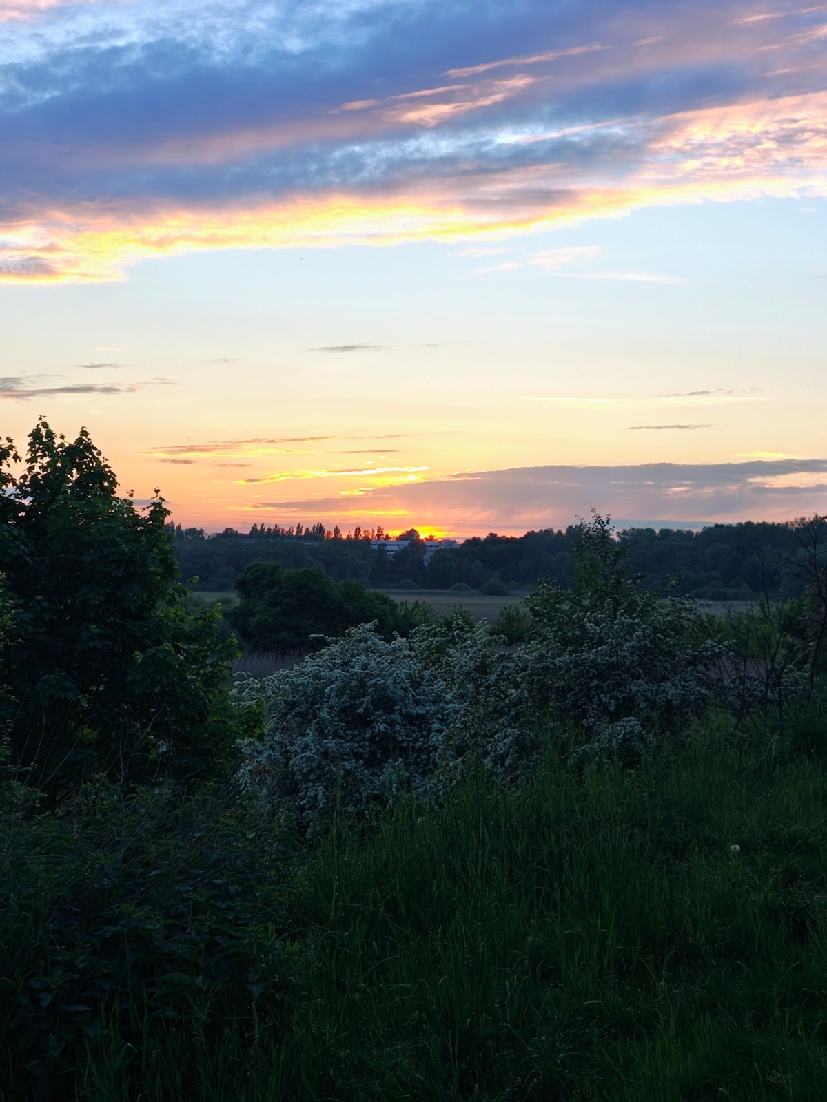 53053978-456f-4248-829f-10589213ef5f